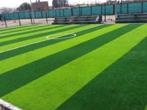 Grass deportivo 01